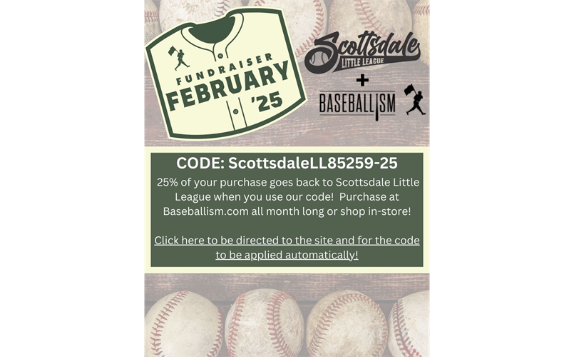 February Fundrasier - SLL + Baseballism